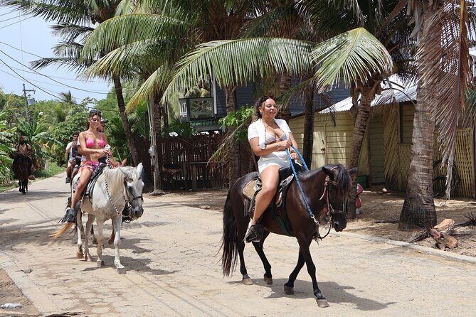 Roatan Horseback Ride and Swim - A Closer Look at the Roatan Horseback Ride and Swim Tour