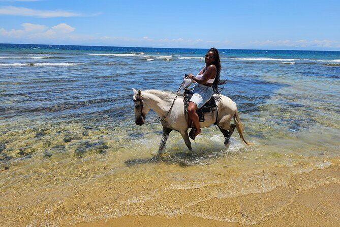 Roatan Horseback Ride and Swim - Final Thoughts: Is It Worth It?