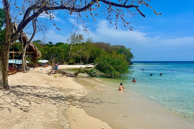 Roatan Iguana Park and Monkey/Sloth park Sanctuary and Beach Stop - Final Thoughts