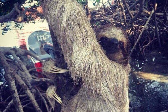 Roatan Let's Plan your Day - FAQs