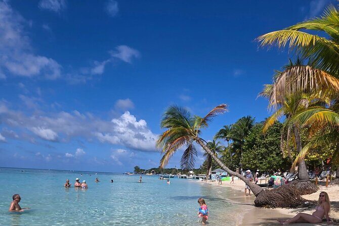 Roatan Local Island Tour, Seeing Animals and Beach Break - Authenticity and Local Flavor: What Sets This Tour Apart