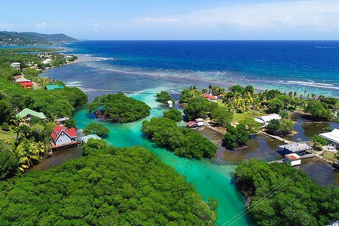 Roatan Mangrove Tunnel Culture Tour on a Water Taxi Tuk-Tuk - Exploring Roatan’s Mangrove Tunnels on a Water Taxi Tuk-Tuk