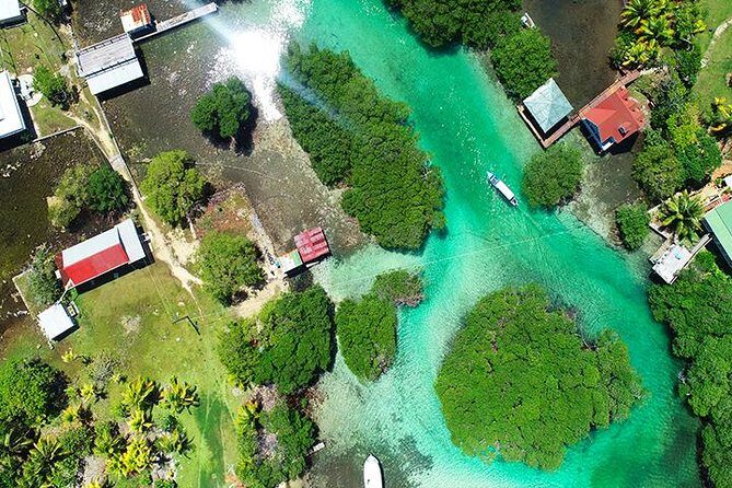 Roatan Mangrove Tunnel Culture Tour on a Water Taxi Tuk-Tuk - FAQ