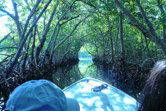 Roatan Mangrove Tunnels Adventure - The Itinerary in Detail