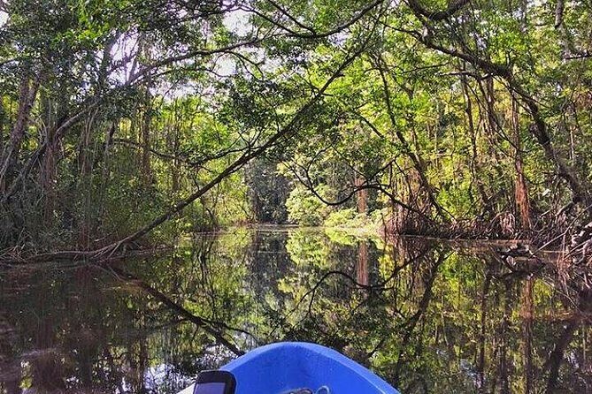Roatan Mangrove Tunnels Adventure - The Sum Up: Who Will Love This Tour?