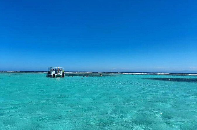 Roatan Monkey and sloths, Reef Snorkel & Private Cay Beach Break - Final Thoughts