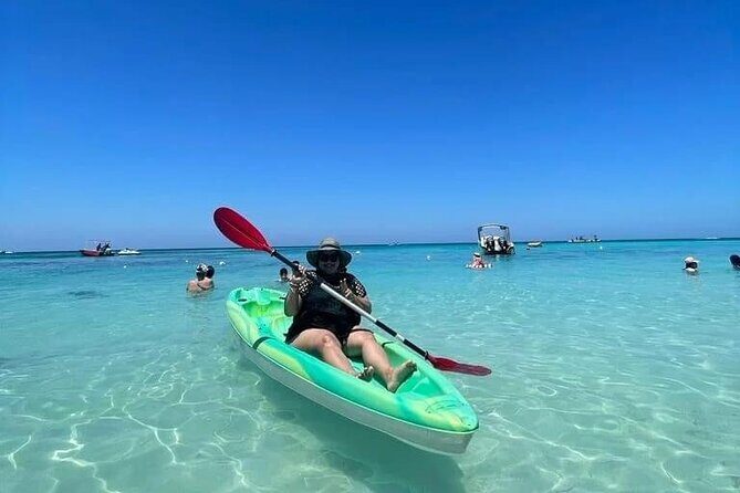 Roatan Monkeys and sloth with chocolate, Rum testing and Beach - Key Points