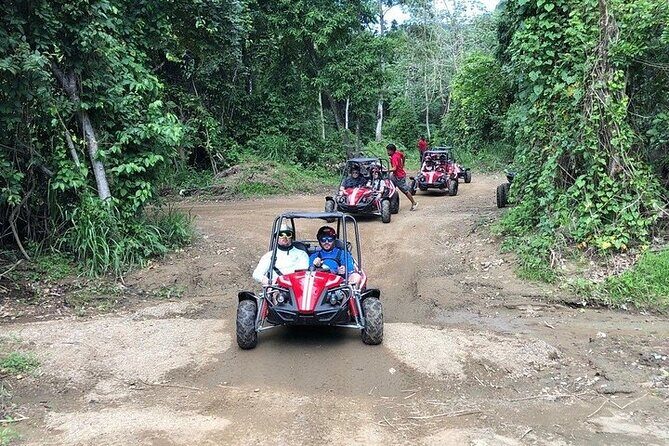 Roatan Muddy Jungle Buggy Tour Off Road Adventure - Pricing and Value
