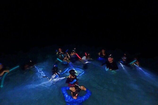 Roatan Night Snorkel Adventure - The Details of the Roatan Night Snorkel Adventure