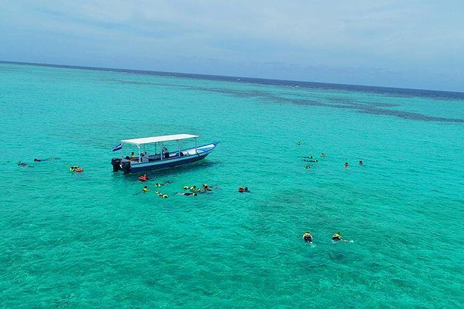 Roatan North Side Mangroves, Starfish, Shipwreck Snorkeling & Transportation - Who Should Consider This Tour?