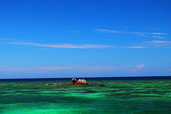 Roatan North Side Mangroves, Starfish, Shipwreck Snorkeling & Transportation - The Sum Up