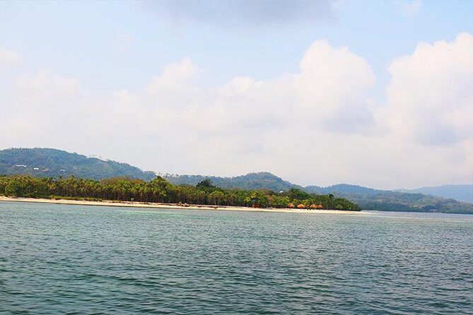 Roatan North Side Mangroves, Starfish, Shipwreck Snorkeling & Transportation - FAQ