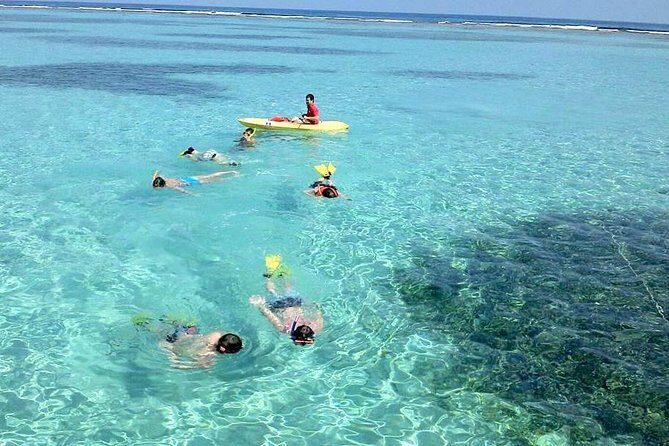 Roatan Parasailing, Reef Snorkel & Beach Combo - Roatan Parasailing, Reef Snorkel & Beach Combo: A Dive Into Adventure and Relaxation