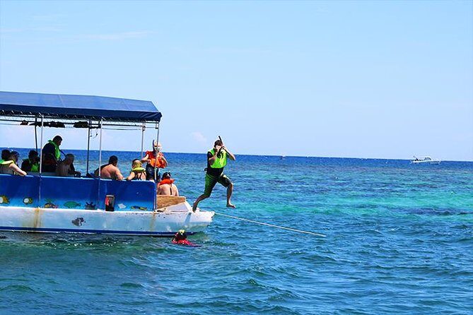 Roatan Private Catamaran Shipwreck, Blue Channel and Starfish with Transfer - Final Thoughts