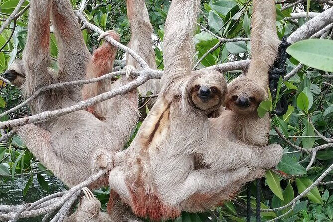 Roatan : Private Customizeble Tour with Driver & Guide - Frequently Asked Questions