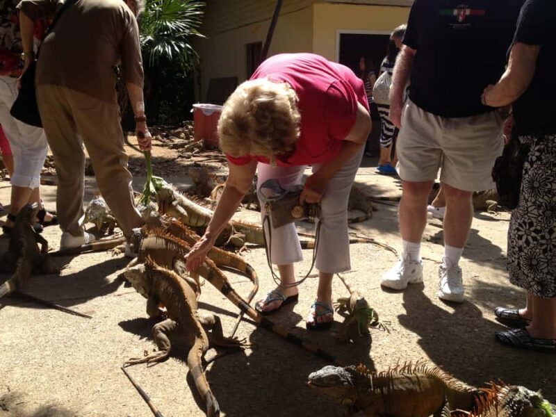 Roatán: Private Monkey and Sloth Sanctuary Tour - Key Points