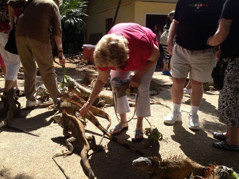 Roatán: Private Monkey and Sloth Sanctuary Tour - Key Points