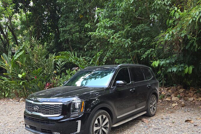 Roatan Private Transfers: Airport, Cruise Port or Hotel - Pricing and Value Analysis