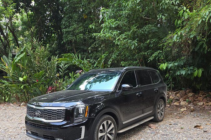 Roatan Private Transfers: Airport, Cruise Port or Hotel - Final Thoughts: Is It Worth It?