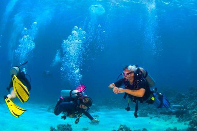 Roatan Reactive-Refresher Dive Course - Key Points