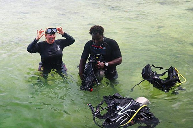 Roatan Reactive-Refresher Dive Course - Authentic Insights from Travelers