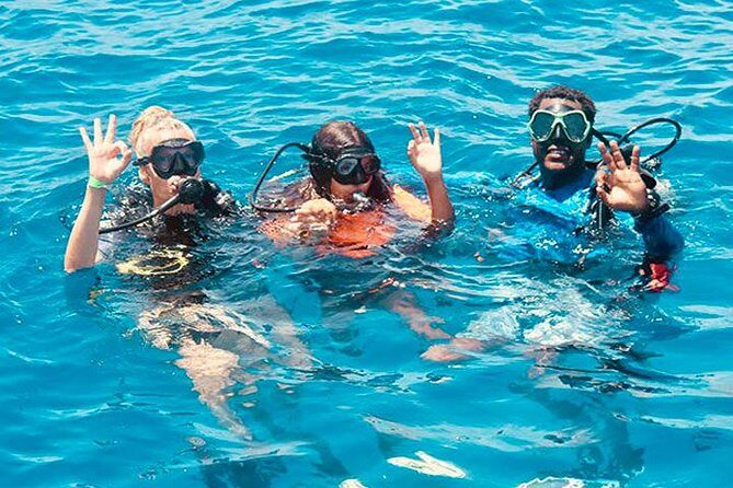 Roatan Reactive-Refresher Dive Course - The Sum Up: Who Should Book This?
