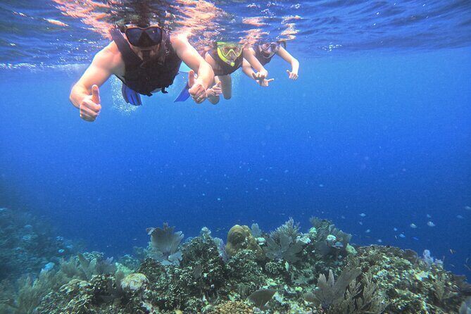 Roatan Reef Snorkel Adventure - Key Points