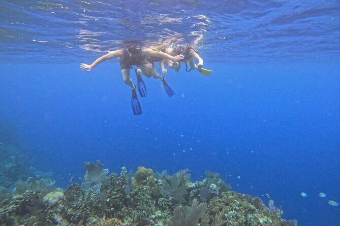 Roatan Reef Snorkel Adventure - The Value of the Roatan Reef Snorkel Adventure