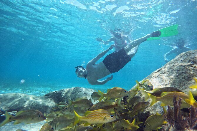 Roatan Reef Snorkel Adventure - FAQ