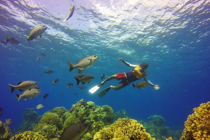 Roatan Sea Kayak, Snorkel and Swim - Who Will Love This Tour?