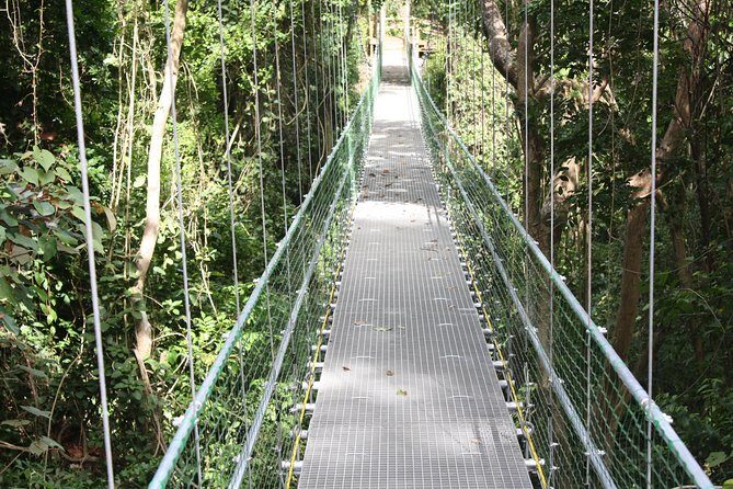 Roatan Shore Excursion: Hanging Bridges Eco Tour and Beach Break - Who Will Love This Tour?