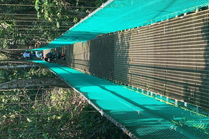 Roatan Shore Excursion: Hanging Bridges Eco Tour and Beach Break - The Jungle Walk and Suspension Bridges