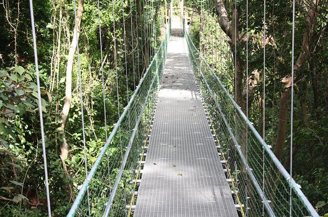 Roatan Shore Excursion: Hanging Bridges Eco Tour and Beach Break - Who Should Book This Tour?