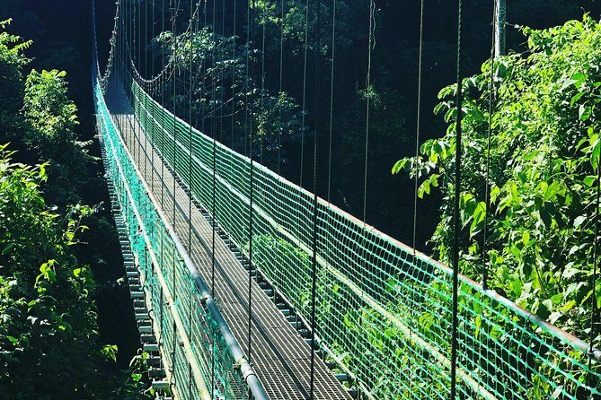 Roatan Shore Excursion: Hanging Bridges Eco Tour and Beach Break - Who Will Love This Tour?