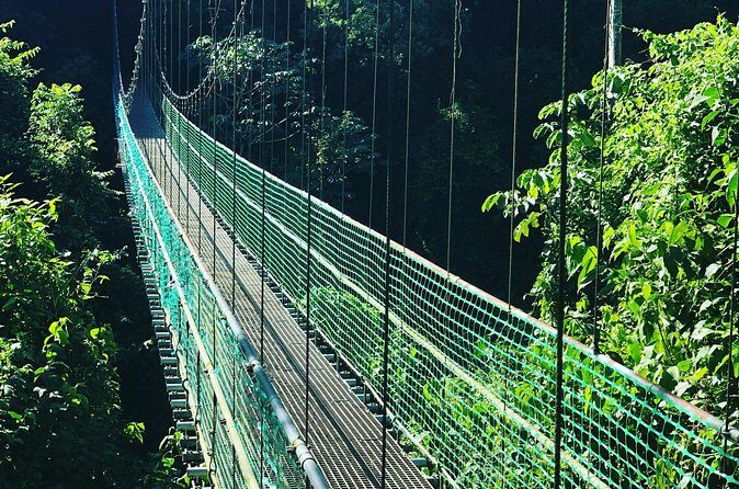 Roatan Shore Excursion: Hanging Bridges Eco Tour and Beach Break - FAQ