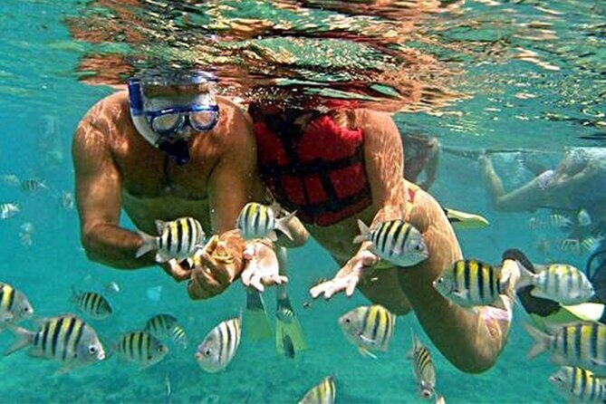 Roatan Shore Excursion Snorkelling, Sloths & Monkeys, Beach Break - Authentic Experiences That Matter