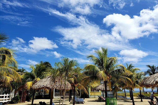 Roatan Shore Excursion - The All in one Roatan Adventure - Exploring the All-in-One Roatan Adventure