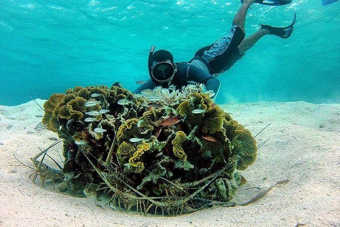 Roatan Shore Excursion - The All in one Roatan Adventure - Why This Tour Works Well