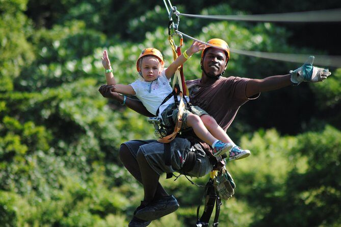 Roatan Shore Excursion: Zip 'n' Dip Canopy Tour - Key Points: