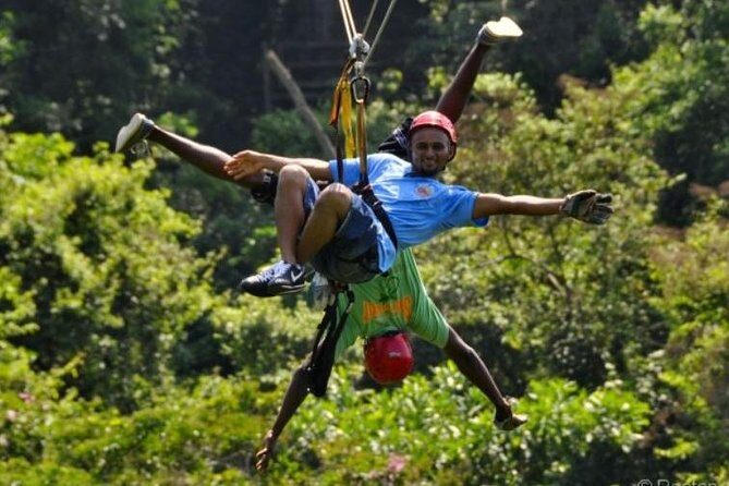 Roatan Shore Excursion: Zip 'n' Dip Canopy Tour - A Detailed Look at the Roatan Zip n Dip Canopy Tour