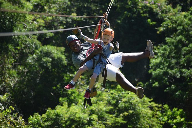 Roatan Shore Excursion: Zip 'n' Dip Canopy Tour - The Sum Up