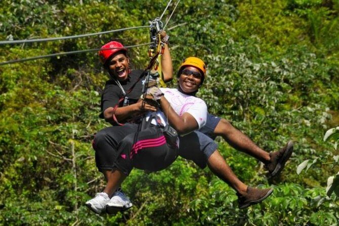 Roatan Shore Excursion: Zip 'n' Dip Canopy Tour - In-Depth Review: Why This Tour Gets Such High Marks