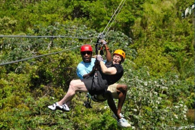 Roatan Shore Excursion: Zip 'n' Dip Canopy Tour - The Sum Up