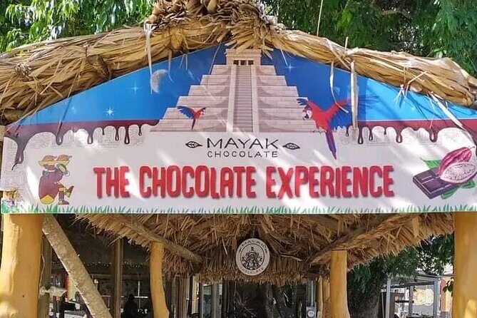 Roatan Sloths & Monkeys, Chocolate Factory plus Beach Break - A Deep Dive into the Roatan Experience