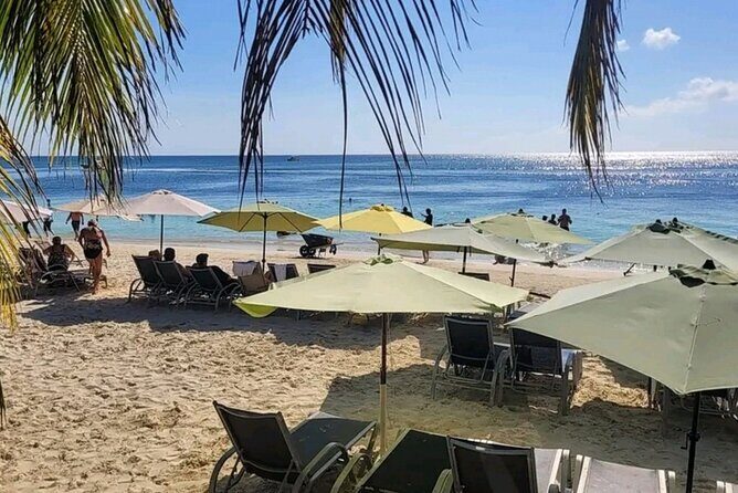 Roatan Sloths & Monkeys, Chocolate Factory plus Beach Break - Who is This Tour Best For?