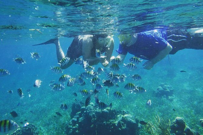 Roatan Snorkeling and City Tour - Exploring Roatan: More Than Just a Snorkel Trip