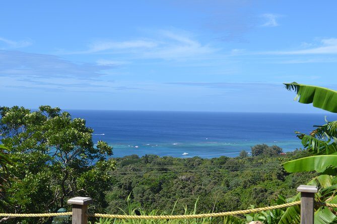 Roatan Top 5 Island Highlights Tour - Who Will Love This Tour?