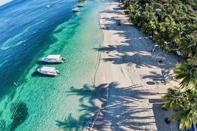 Roatan Tour ATV, Zipline, Sloth Park And Beach - An In-Depth Look at the Roatan Adventure