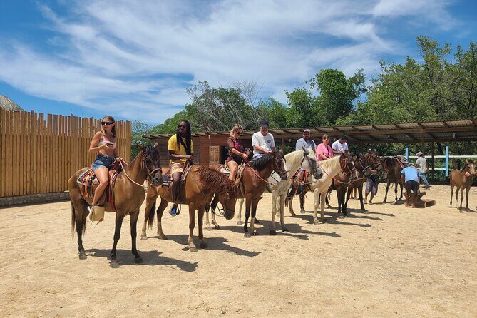Roatan Tour with Horseback Ride Sloth Park and Glass Bottom Boat - Key Points