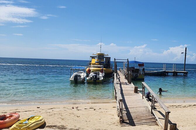 Roatan Tour with Horseback Ride Sloth Park and Glass Bottom Boat - Who Will Love This Tour?